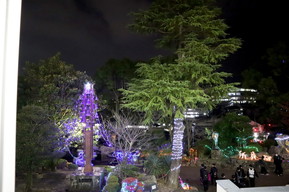 西高イルミネーション